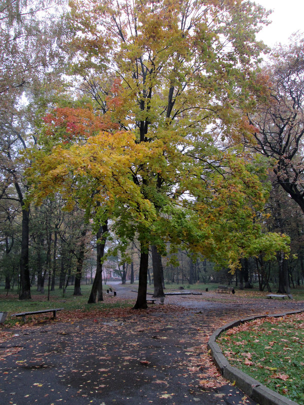 *** - Валентина Береснева