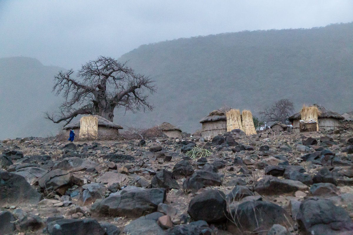 Масайская деревня, пыльная буря (Танзания, 2015) - Сергей Андрейчук