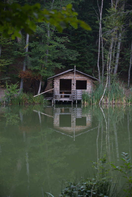 домик у озера - алекс 
