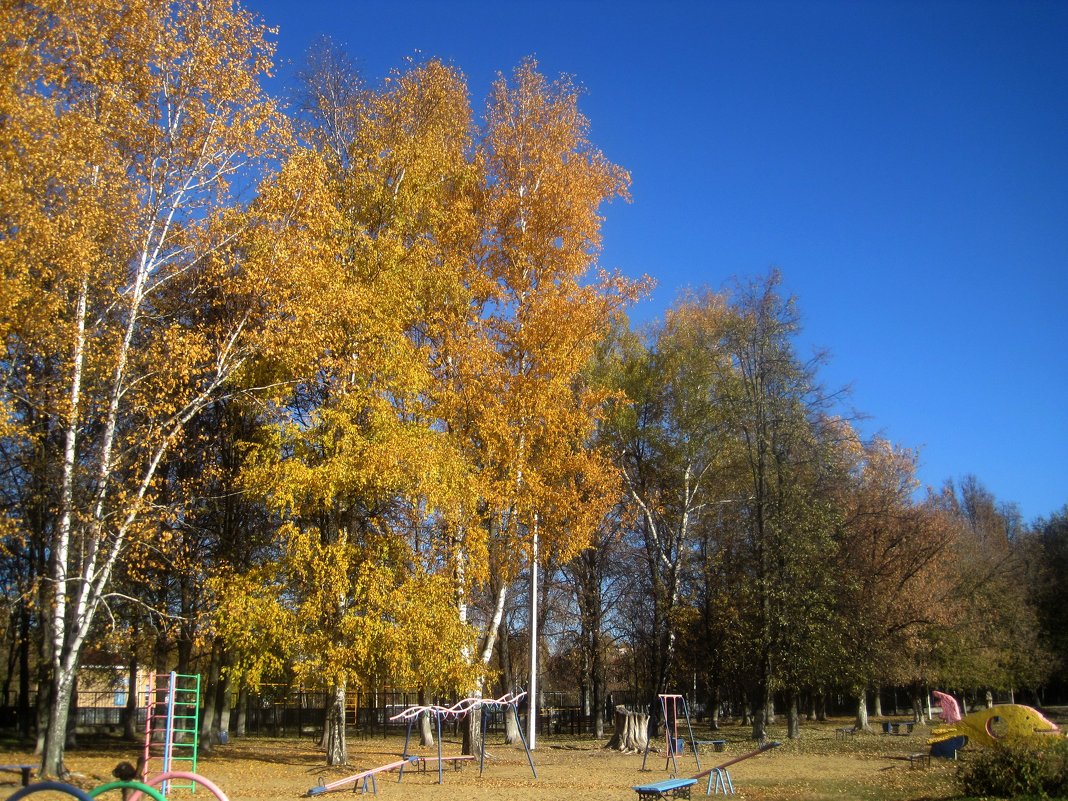 Золотая осень шагает по городу - Елена Семигина