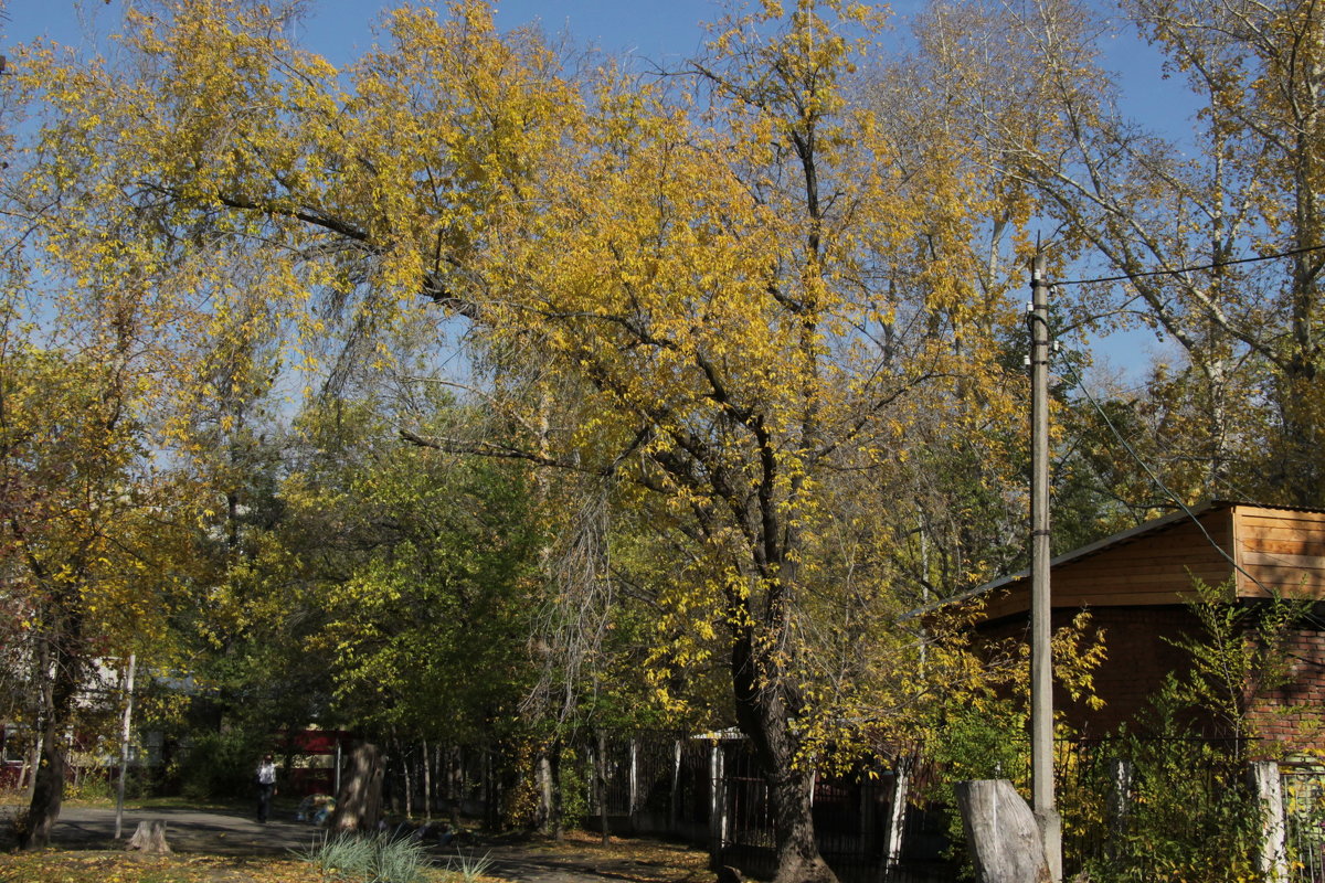 Осень - Олег Афанасьевич Сергеев