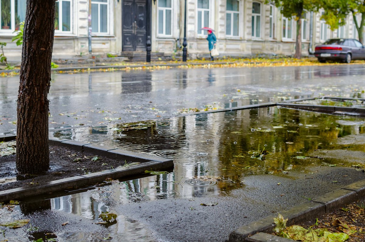 Осень Таганрог дождь