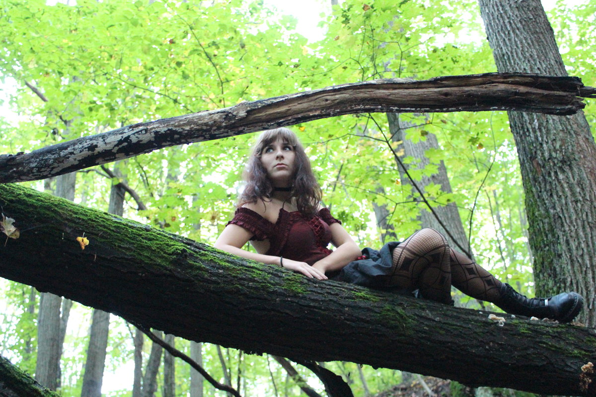 Прогуляемся по лесу - Ekaterina Poluektova
