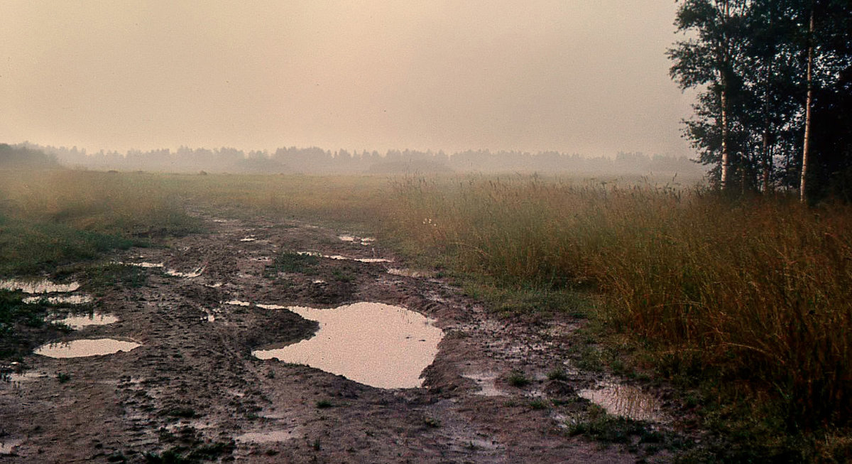 После дождя. Ностальгия ( 1985г.) - Иван Миронов