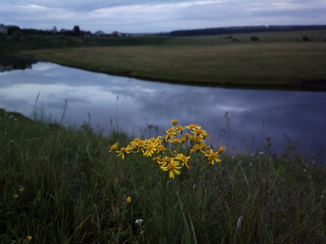 Река и цветы - Николай Филоненко 