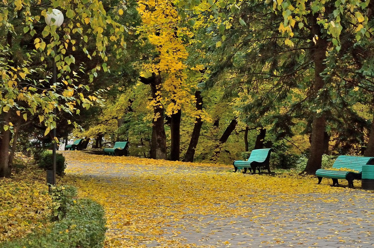 осень в парке - Мария Климова