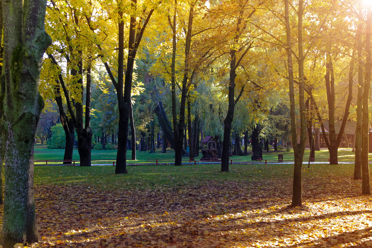Парк Солнечный остров в Краснодаре осенью
