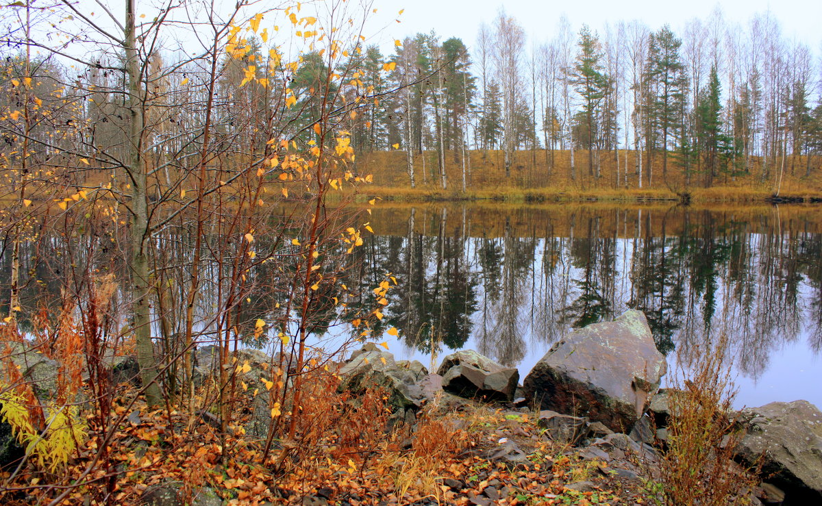 Ноябрьская природа в Карелии