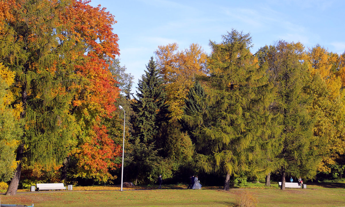 Осень в октябре - ирина Пронина