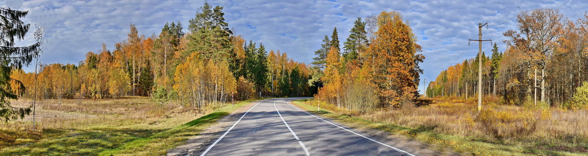 Осенняя  дорога. - Валера39 Василевский.