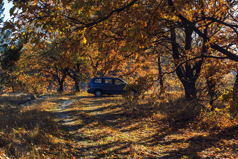 Осенние лесные дороги - Ирина Приходько