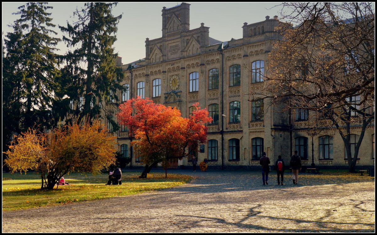 Осенью в кампусе - oleg voltihaus