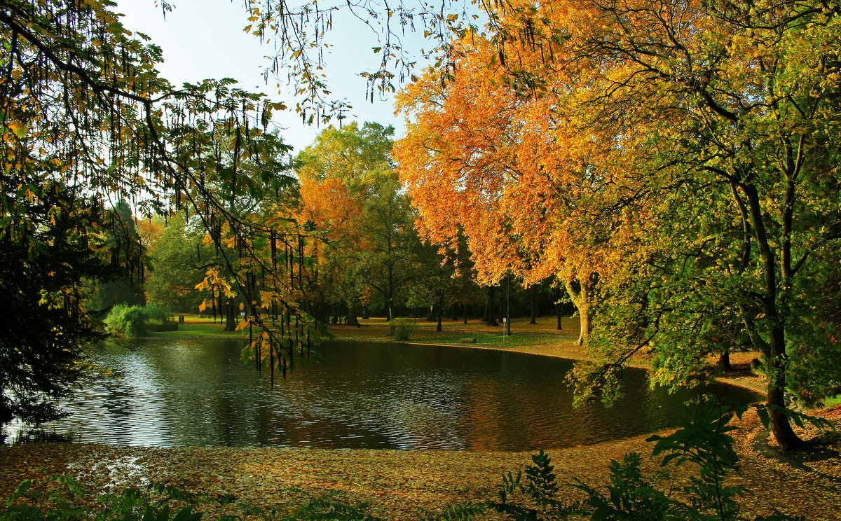 Озеро в парке - Alexander Andronik