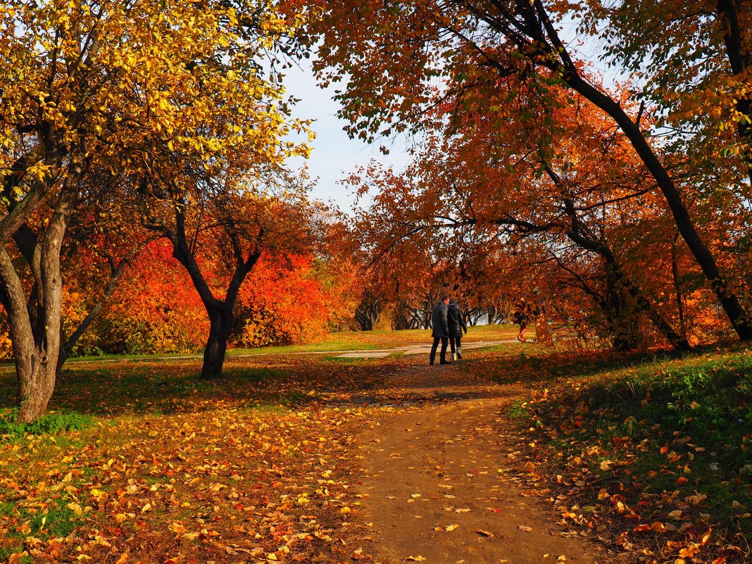 Осенняя прогулка - Zifa Dimitrieva