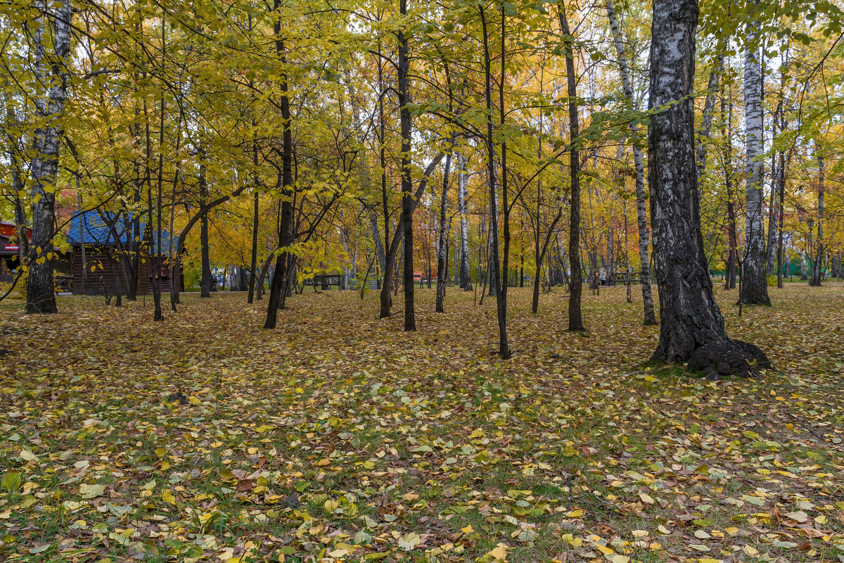 Осенний парк - Борис 