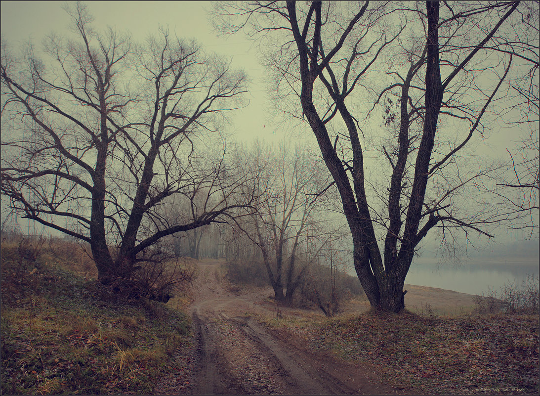 Осенняя дорога в тумане.. - Алексей Макшаков