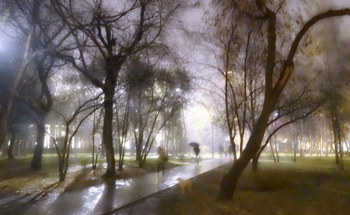 Дождь в парке - Игорь 