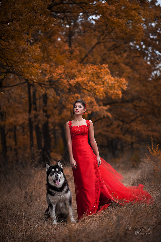 фото с собакой хаски - Оля Грушевская