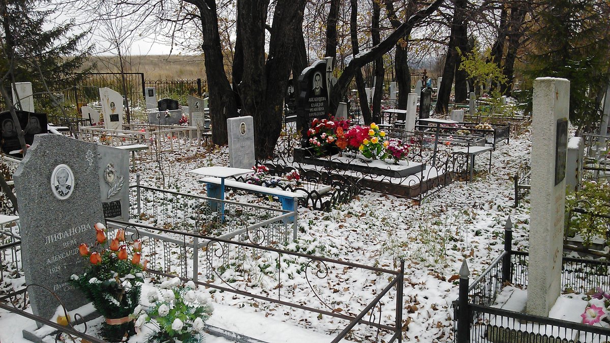 Каждому статусу своя могила - Владимир Ростовский 