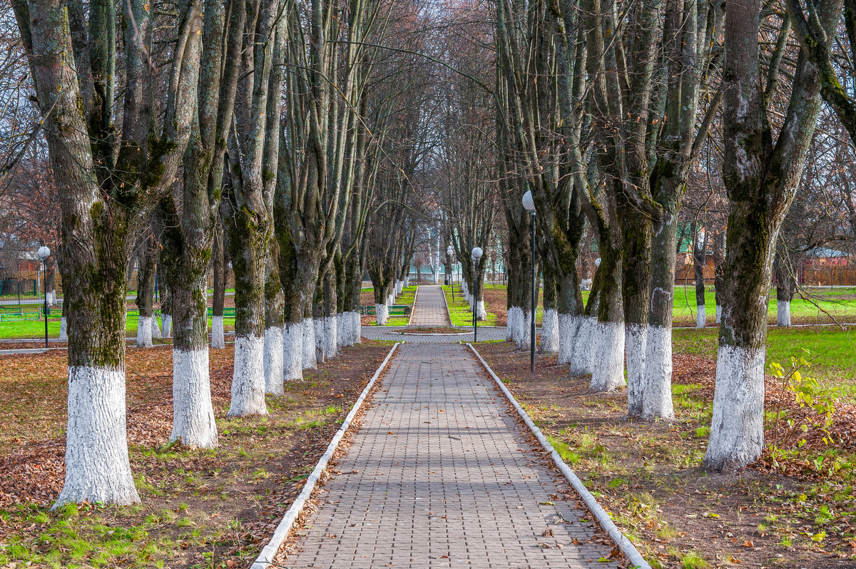 Фото Парка Заречье