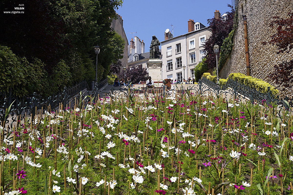 Blois - Alex 