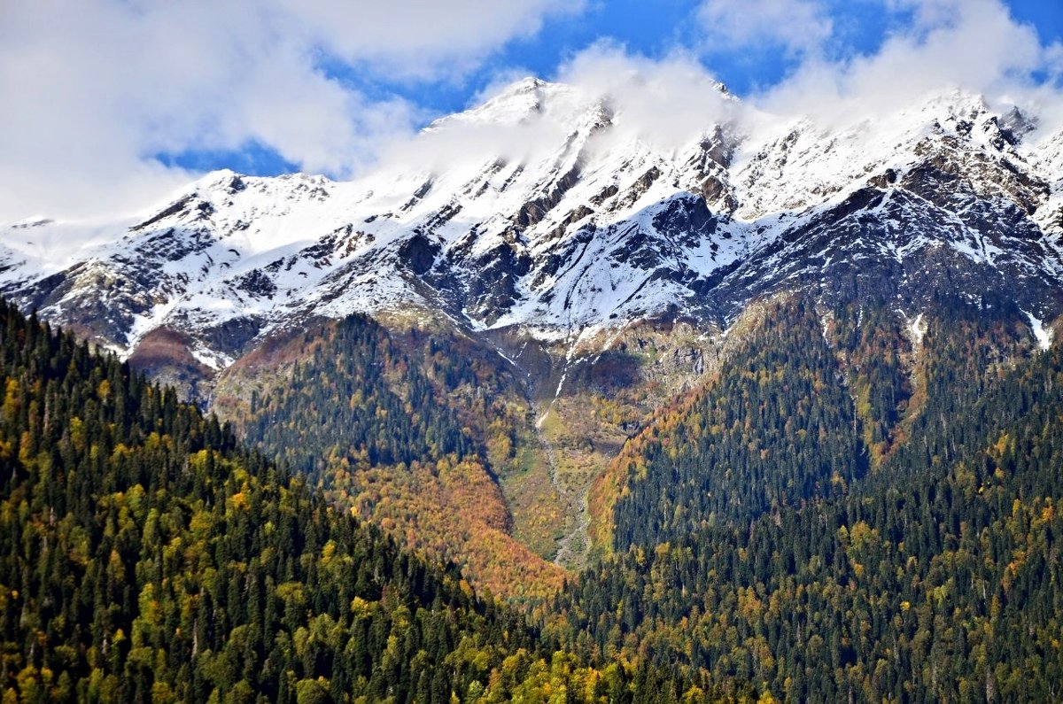 Со всех сторон Рицу окружают высокие горы, вершины которых даже летом покрыты снегом - Елена Павлова (Смолова)