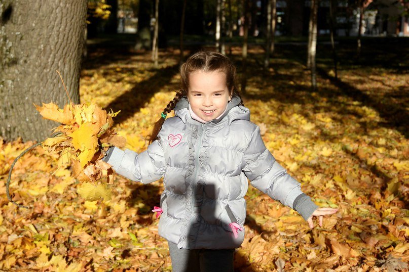 Осень в парке - Мила Данковцева