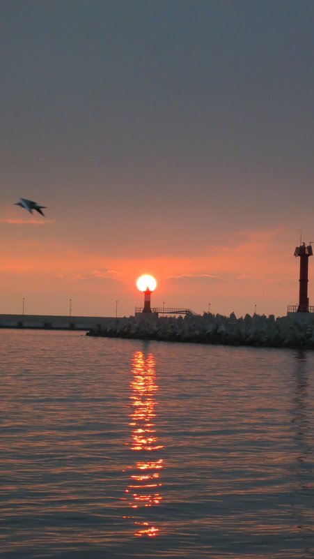 Закат в Морском порту Сочи - valeriy khlopunov