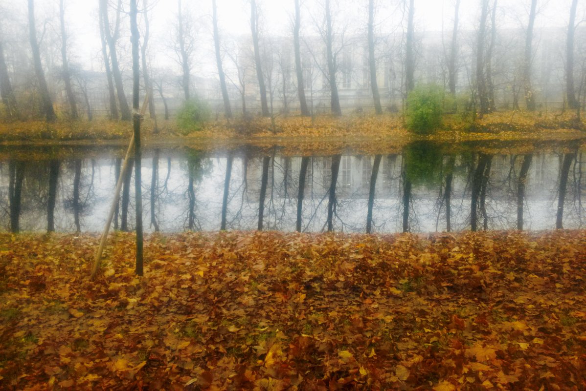 Река Таракановка в тумане - Юрий Тихонов