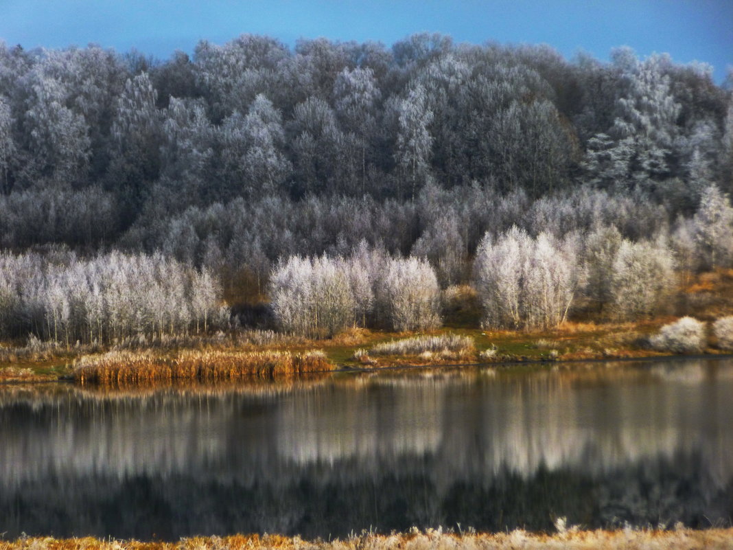 Засеребрились деревья с тихим морозным рассветом... - Galina Leskova
