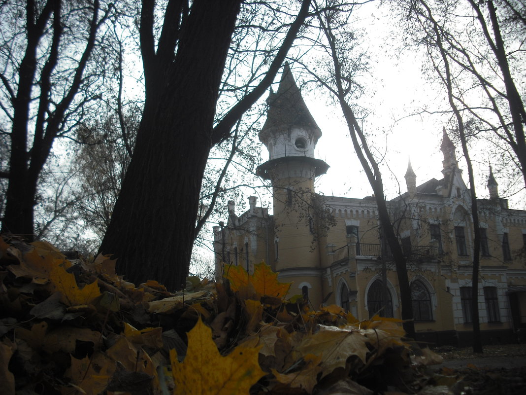 Осенний мотив с замком и кучей листьев - Денис Бугров 