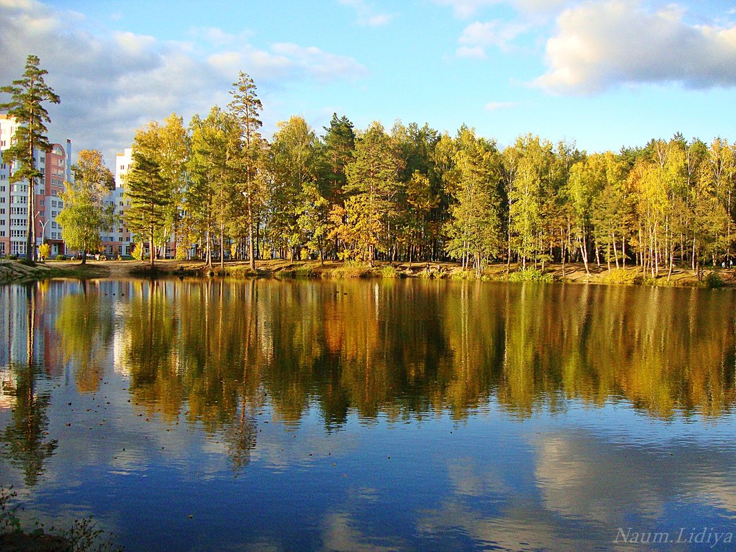 Отражение осени в воде - Лидия (naum.lidiya)