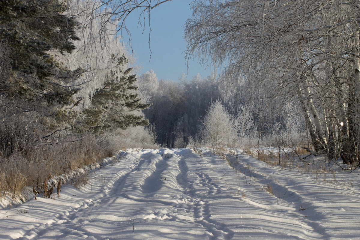 Зимняя дорога - Светлана Медведева 