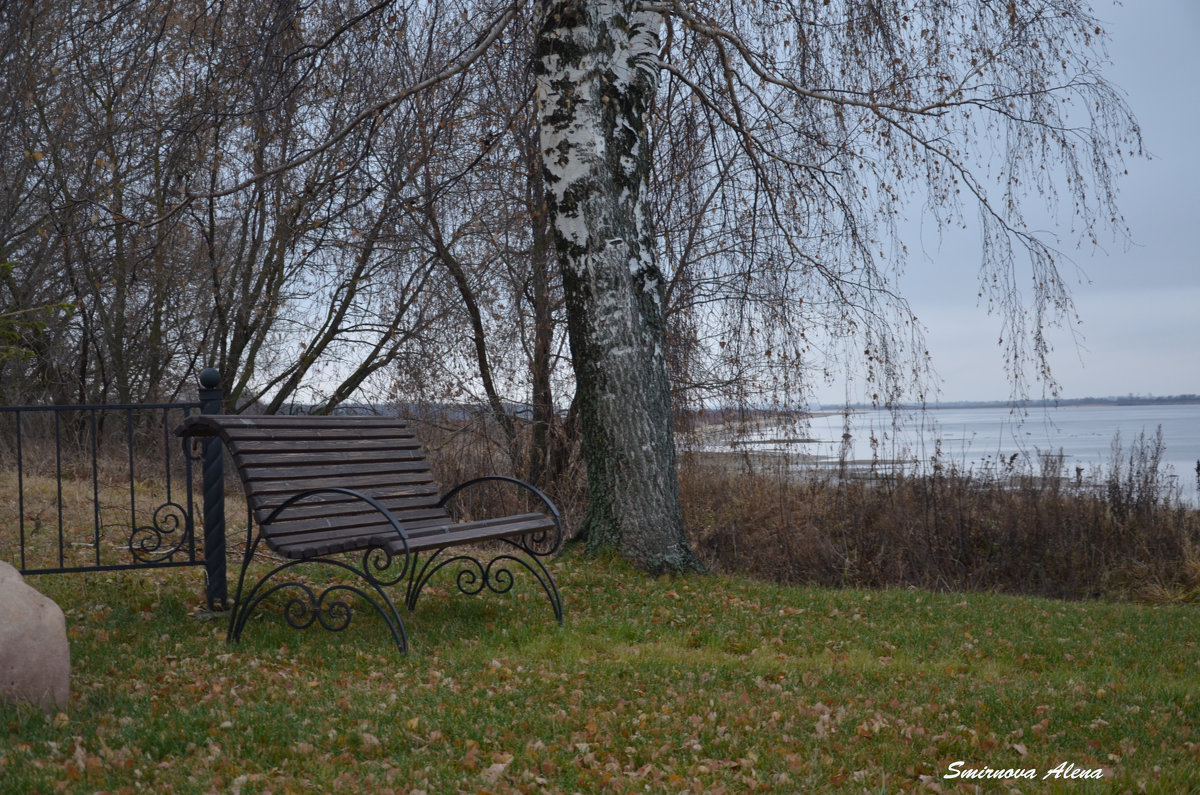 Осень серая - Алена Смирнова