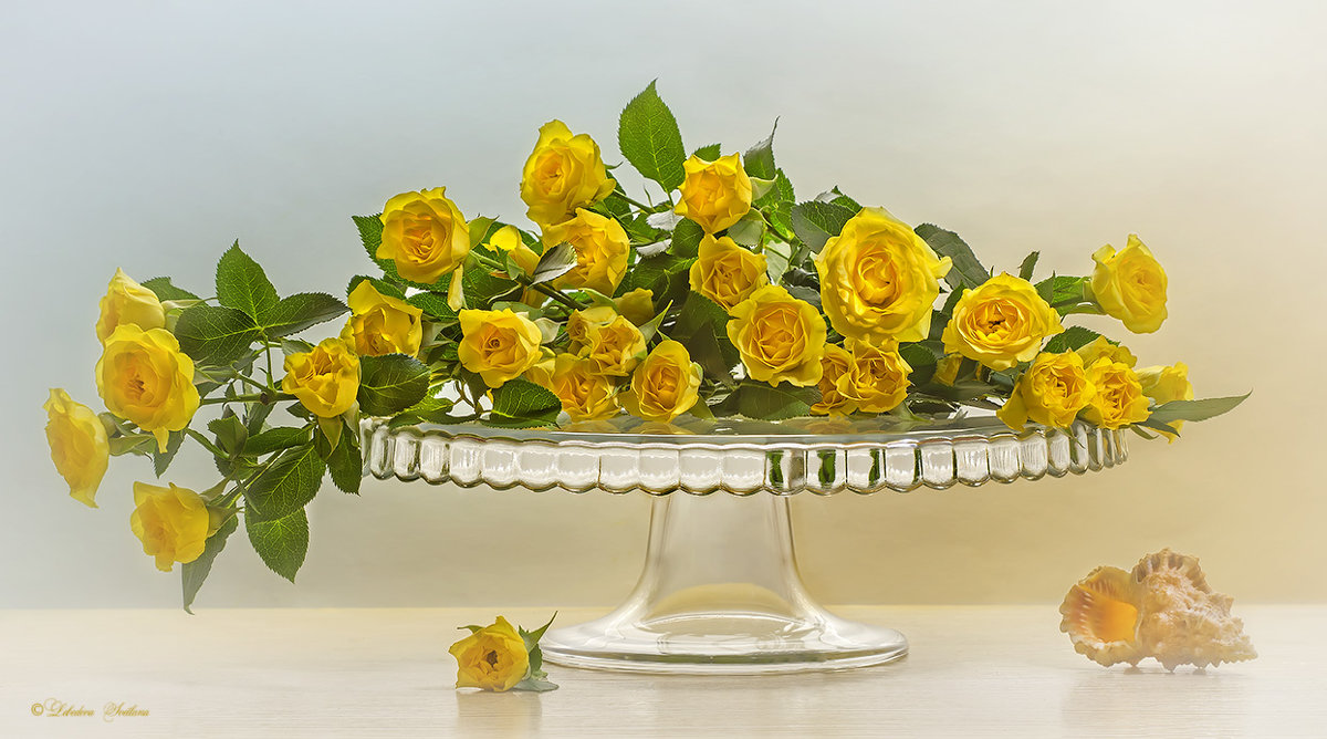 Жёлтые розы - Светлана Л.