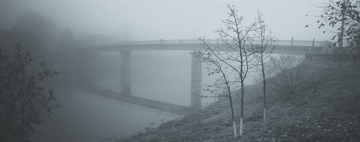 В тумане - Дмитрий 