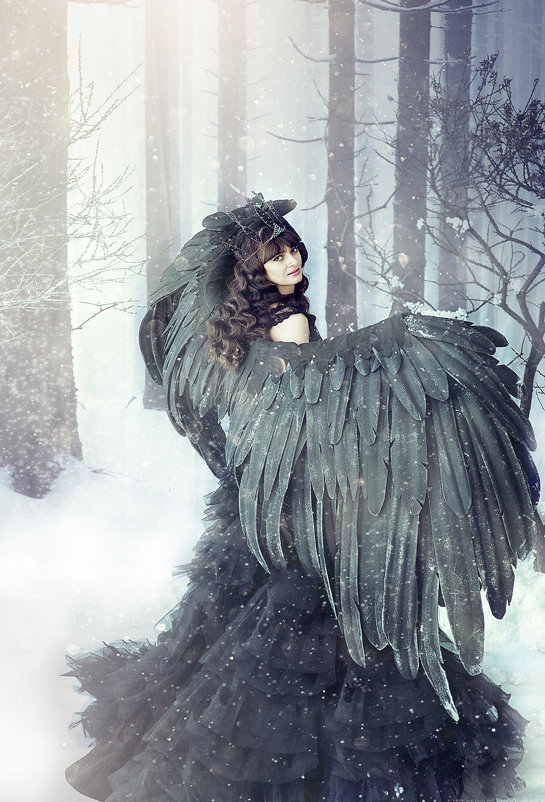 Черная птица - Светлана 