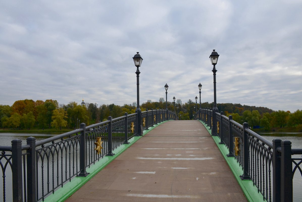 Левобережный мост в Царицыно. - Ольга 