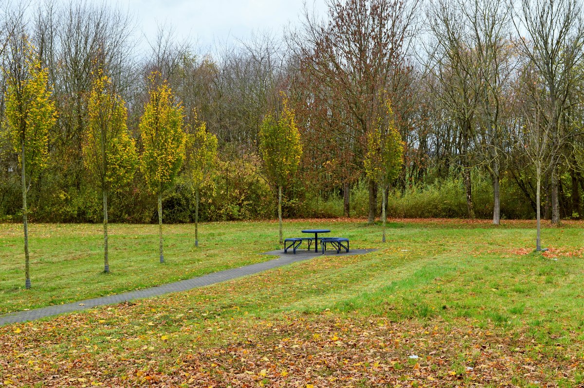 14.11.15. - Schbrukunow Gennadi