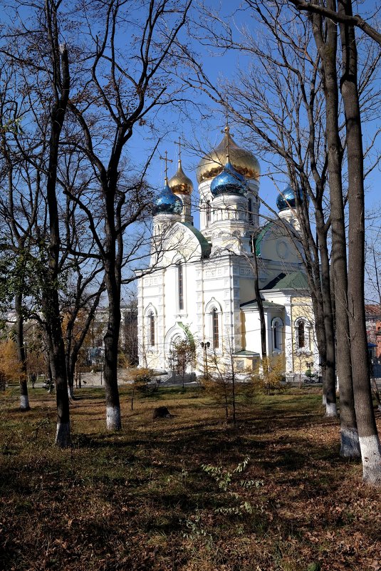 Храм в Покровском парке - Николай 