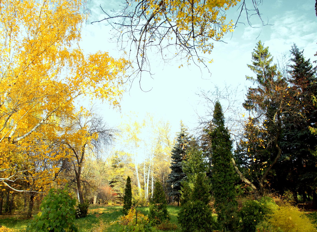 Осень в ботаническом саду. Самара. - Александр Карманов