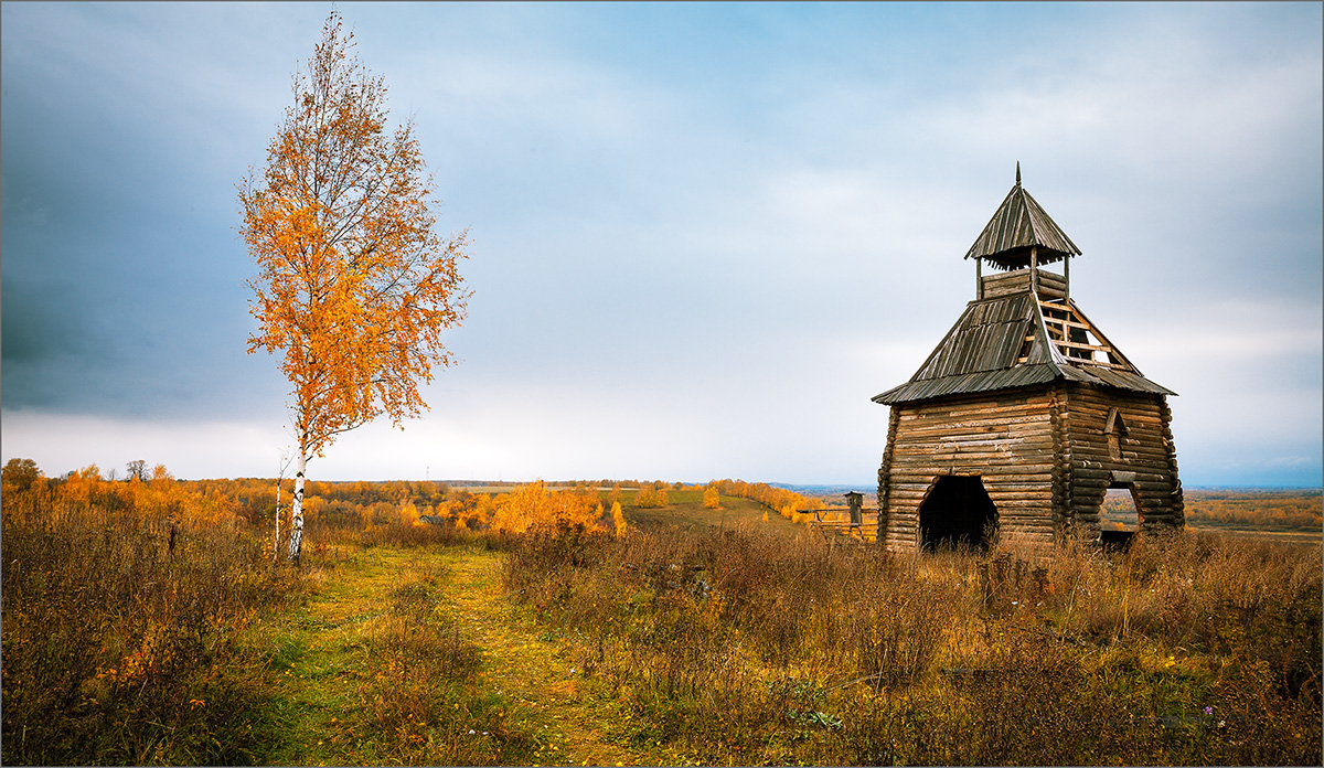 Осенняя пасмурная... - Александр Никитинский