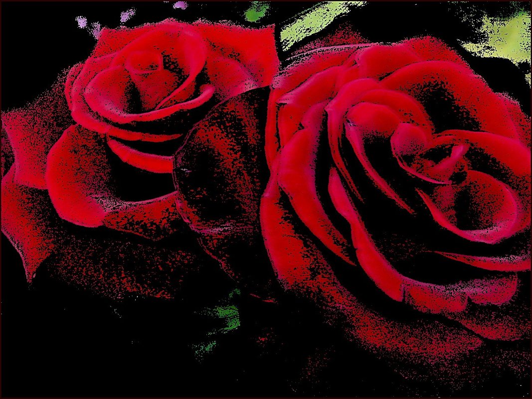 Две пылающие розы - Нина Корешкова