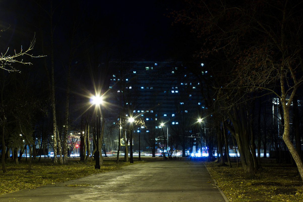 Ночной парк - Светлана -
