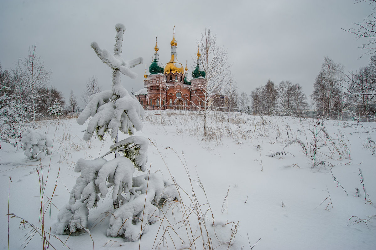 Снегопад у нас... - Виктор Садырин