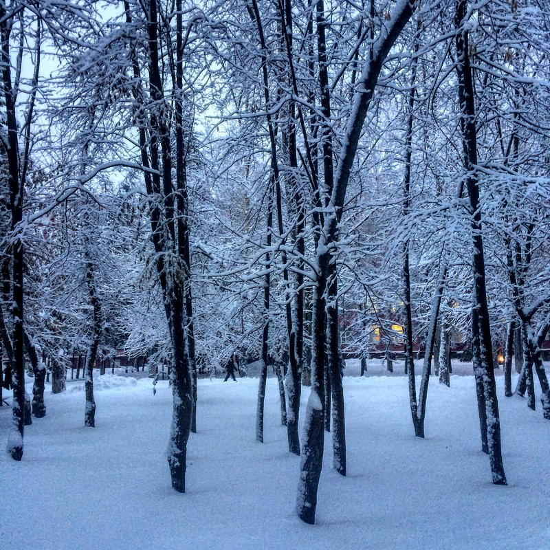 Зима теперь) - Nadezhda Ulitina