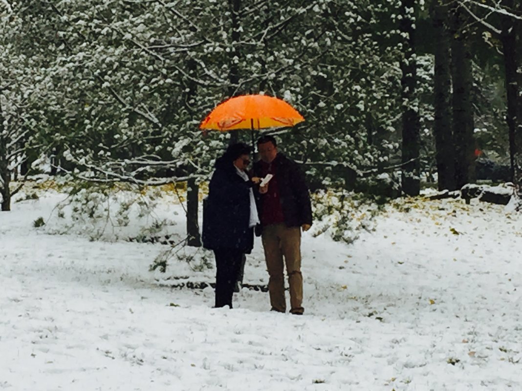 The first snow in Beijing - Shiva 