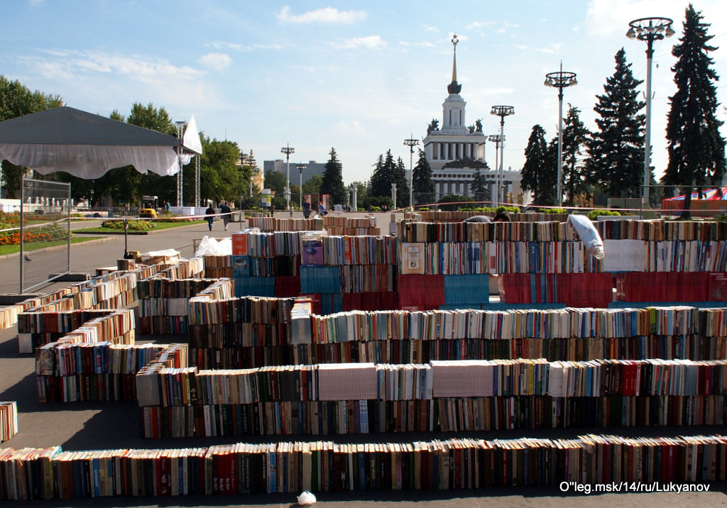 книги вместо кирпичиков - Олег Лукьянов