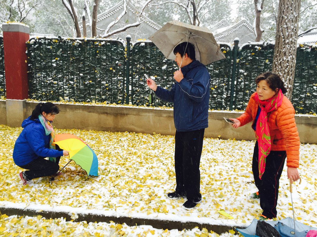 The first snow in Beijing - Shiva 