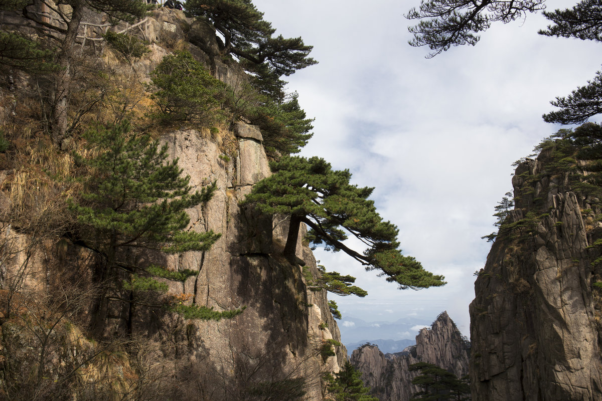 Huangshan - Юрий Петряев